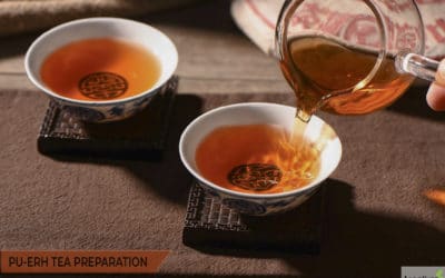 How to Brew Pu-Erh Tea: Preparation and Consummation