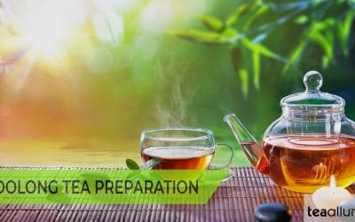 How to Brew Oolong Tea: Steeping and Preparation