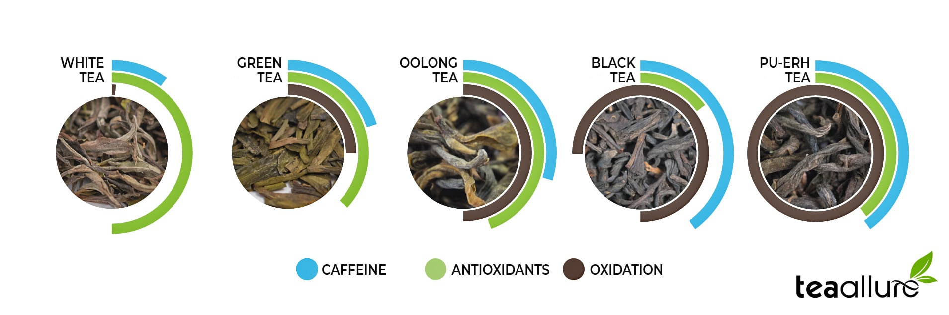 Antioxidants in different tea types