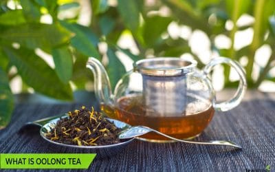 What is Oolong Tea