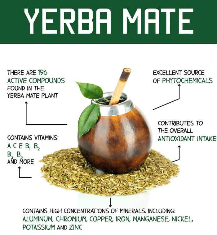 Properties of yerba mate