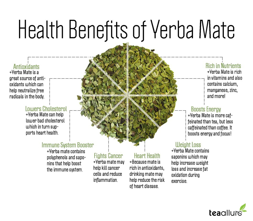 10 Health Benefits of Yerba Mate