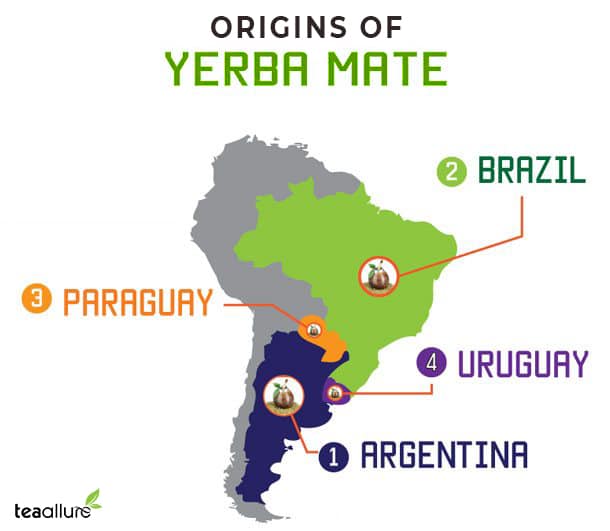 Argentina Yerba Mate vs. Brazil, Uruguay & Paraguay